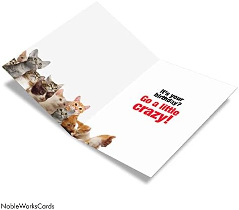 NobleWorks, Vicces Boldog Szülinapot Kártya Boríték - Színes Humor Megjegyzés Kártya Üdvözlés - Macska Hölgy Starter Kit 8016Z