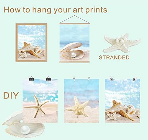 Strand Téma Kagyló, Fali Dekor Strand Téma Kagyló, Fali Dekor Sealife Art Print Kagyló, majd Csillag Beach-Dekor Készlet 4