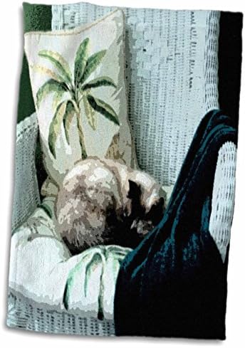 3dRose Florence Benyomást Art - Macska alszik, - Törölköző (twl-8599-1)
