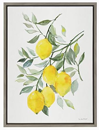 Kate Laurel Sylvie Citrom Citrus Keretes Vászon Wall Art által Patricia Shaw, 18x24 Szürke, Díszítő Gyümölcs Fali Dekoráció