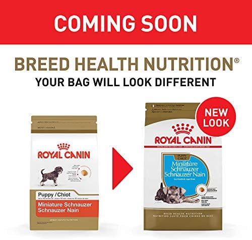 Royal Canin Fajta Táplálkozás-Egészségügyi Miniature Schnauzer Kutyus Száraz kutyaeledel, 2.5 kg