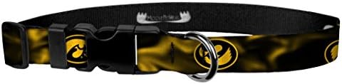Szarvas Pet Viselni Racing Nyakörv – University of Iowa Hawkeyes, Állítható Kisállat Nyakörvek, Made in USA – 3/4 Széles, Közepes,