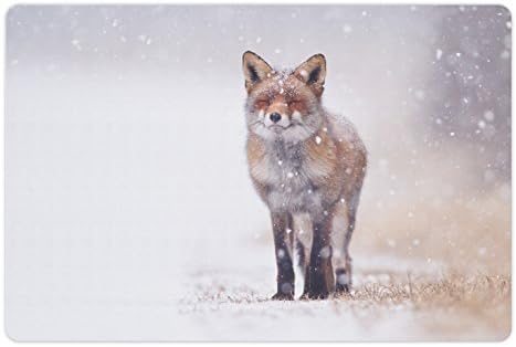 Ambesonne Fox Pet-Mat az Étel, a Víz, a Vörös Róka a Vidéki Környezet Mező Hóval Borított Viharos Hideg Időjárás Kép, Téglalap