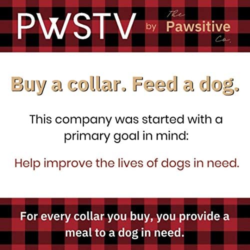 PWSTV Nyakörv által A Pawsitive Co. Vegyél egy Nyakörv. Takarmány egy Kutya. Tartós, Nylon Kiskutya Kutya Nyakörvek - Közepes