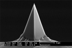 NANOSENSORS PPP-EFM-10 PointProbePlus elektrosztatikus erő mikroszkópia PtIr5 AFM tipp (Doboz 10)